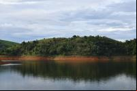 Floresta ao fundo de uma represa